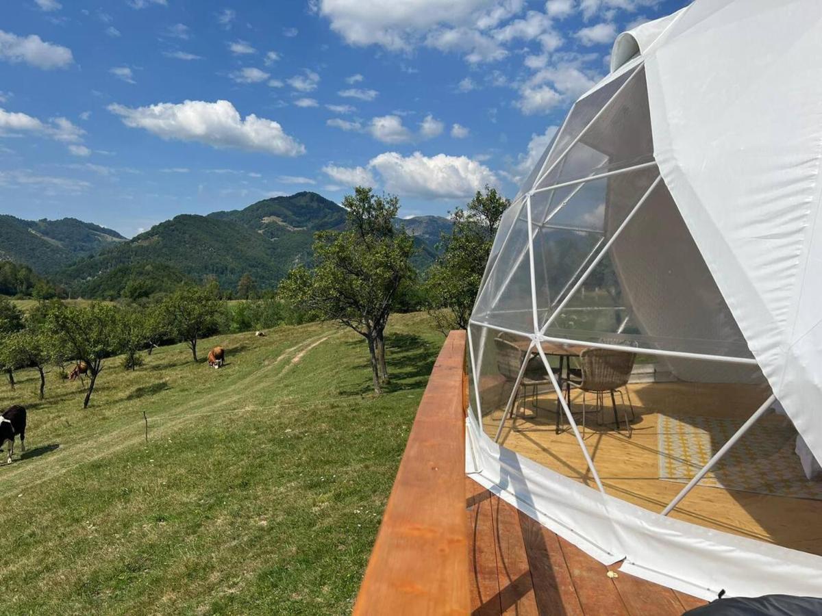 Tranquil Dome - Manta's Retreat Glamping