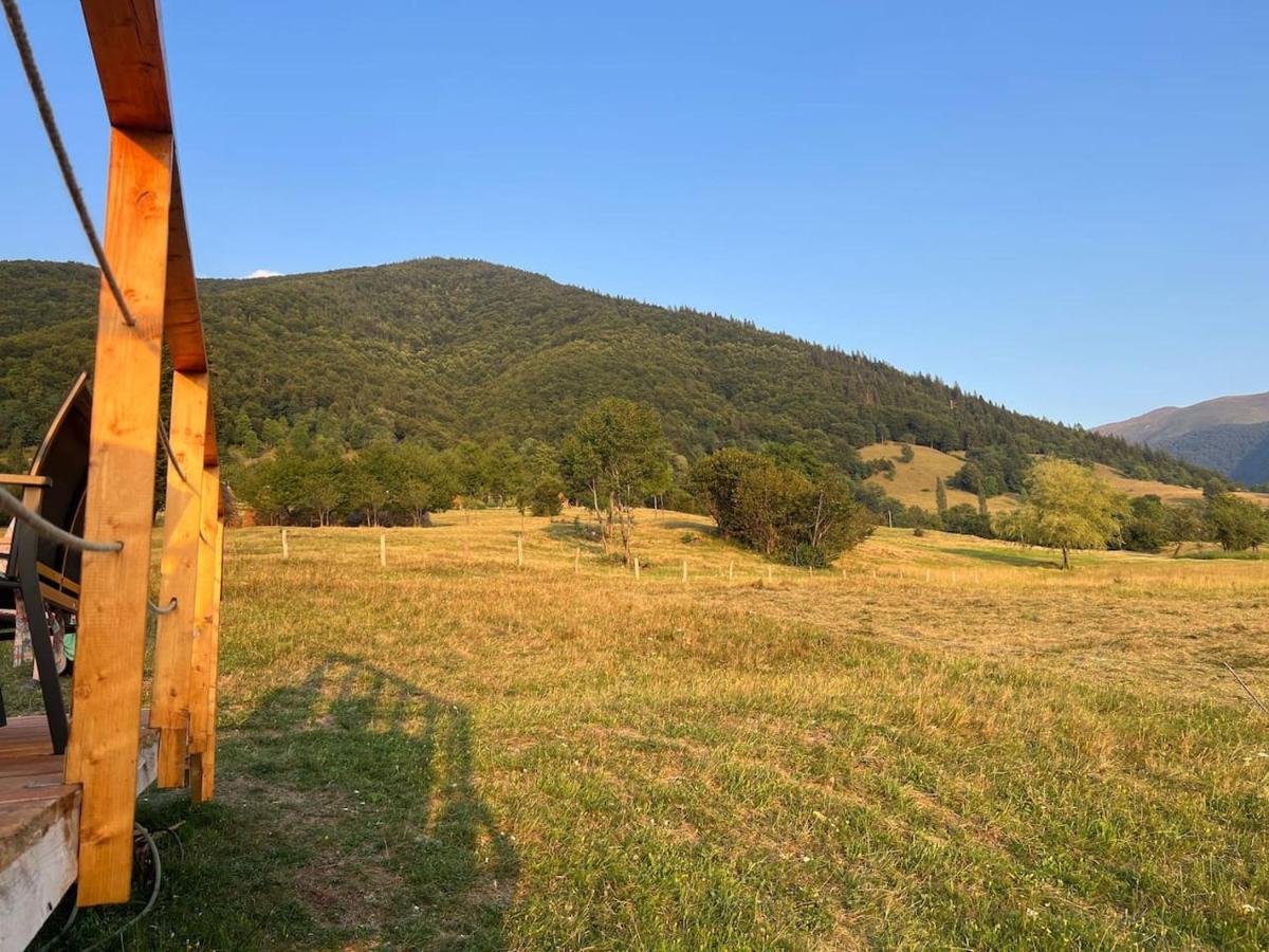 Tranquil Dome - Manta's Retreat Glamping
