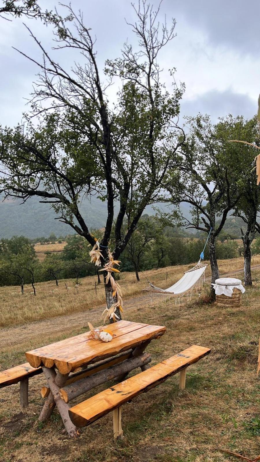 Tranquil Dome - Manta's Retreat Glamping Luxury tent