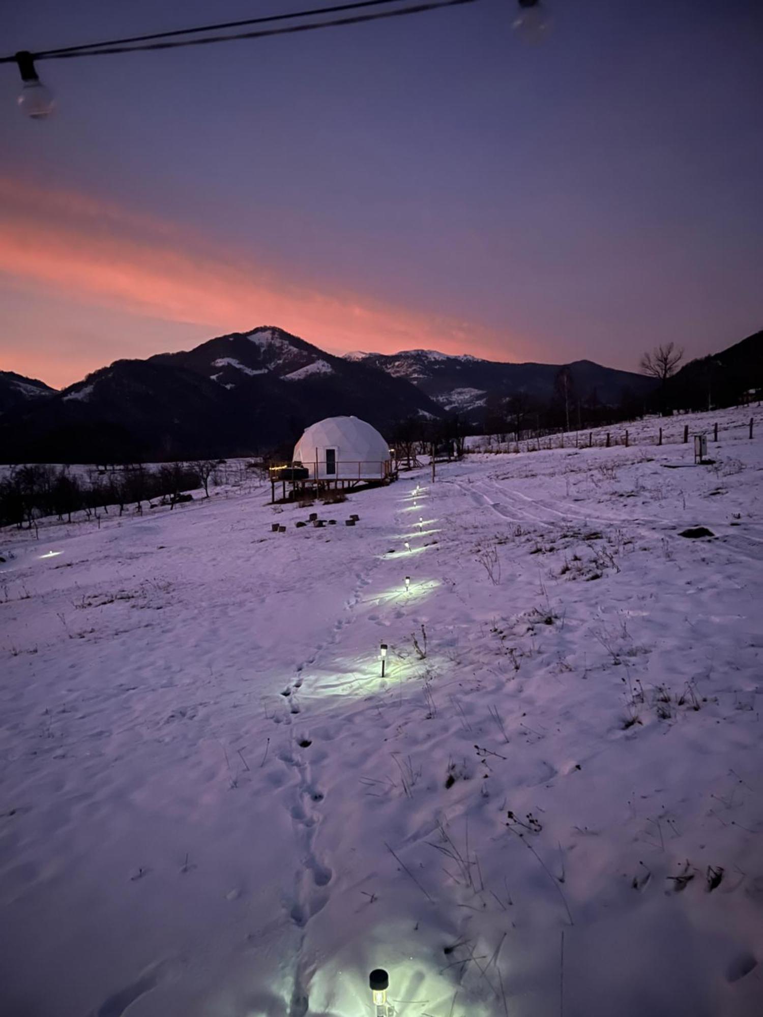 Tranquil Dome - Manta's Retreat Glamping Luxury tent *